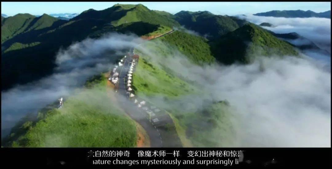 可爱奥莉甜美夏装